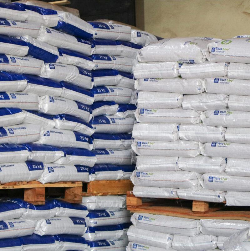 Galería de Fotos 00-05